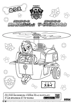 スカイ