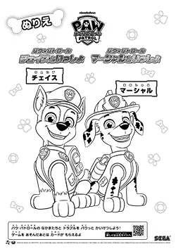 チェイス&マーシャル