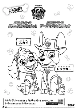 スカイ&トラッカー